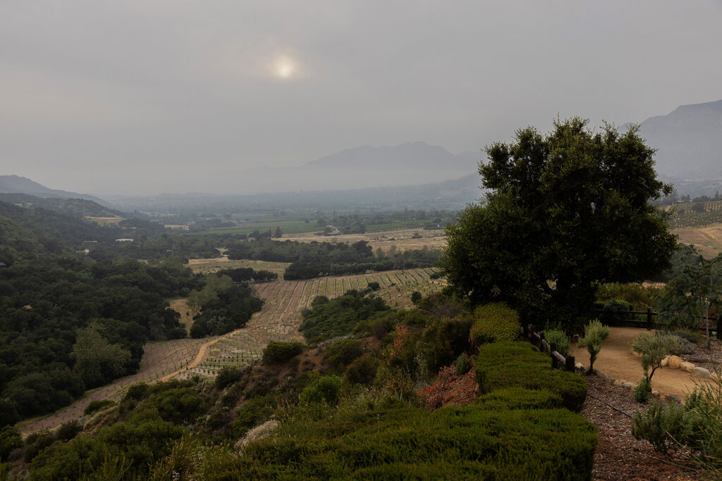 The California City With Tiny Oranges and Pink Sunsets