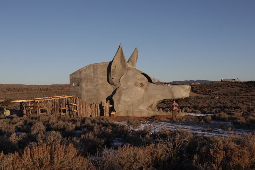 For Rent: A One-Bedroom Coyote House
