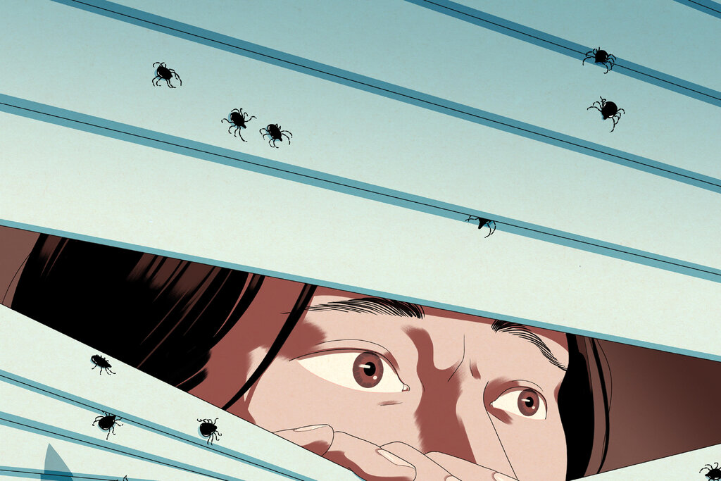 Opinion | We’re Living in a Tick Nightmare. It’s Time to Go to War.