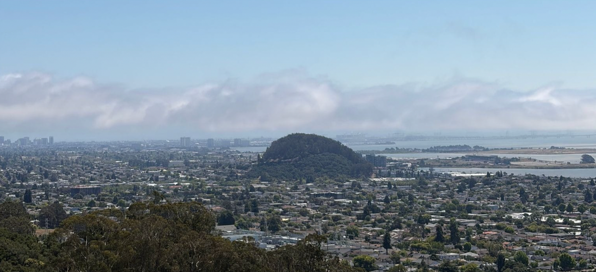 How I became the villain of El Cerrito’s Nextdoor