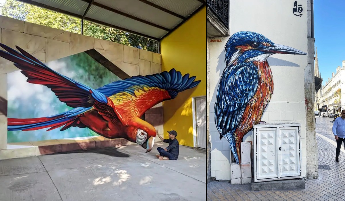 Birds! (14 Photos) - STREET ART UTOPIA