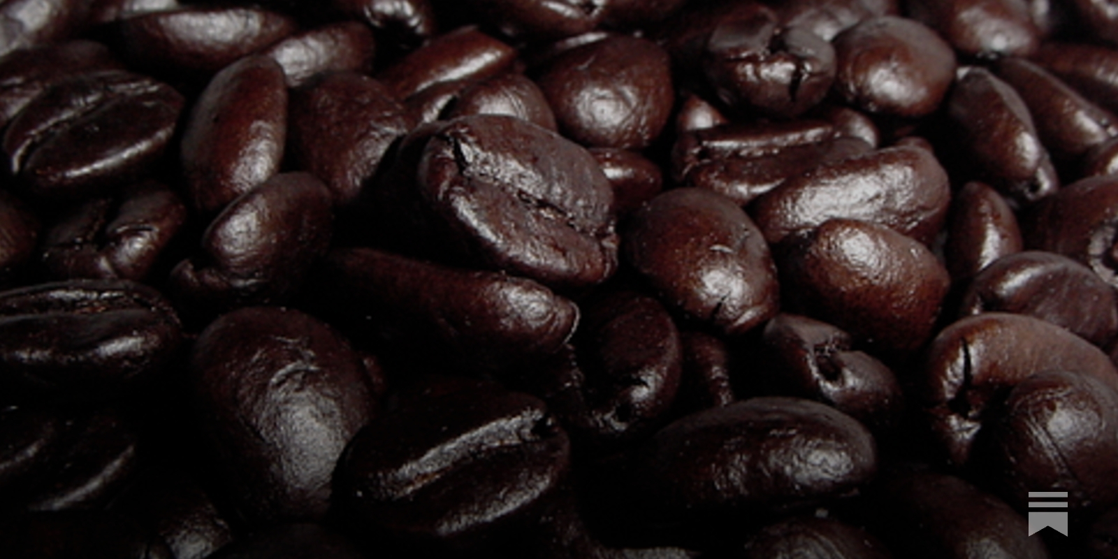 Understanding (and appreciating) Bitterness in Coffee
