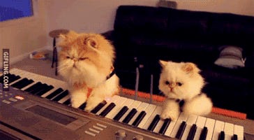The Piano Bar Teaches Us What Lives and Dies