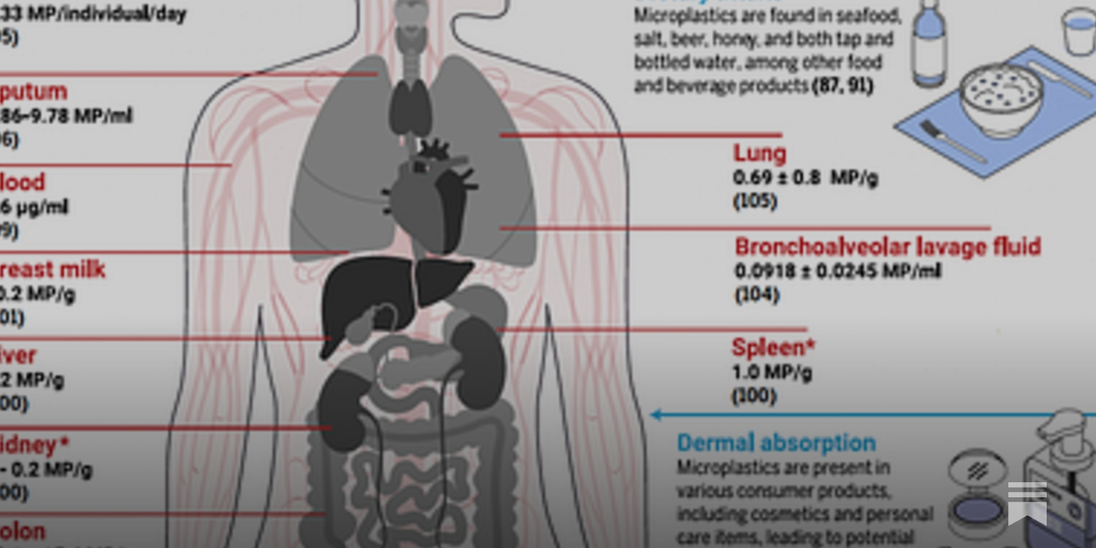 The Microplastic Concerns Elevate—To the Brain