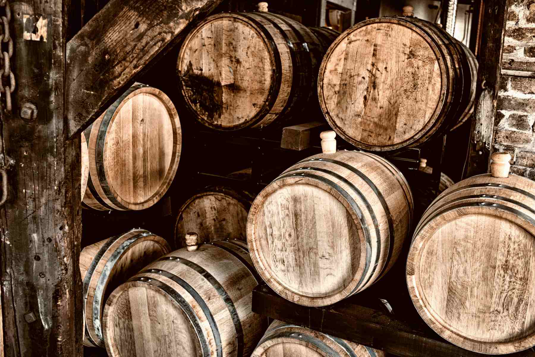 Rum Before Breakfast? How a Tropical Spirit Took Hold of New Brunswick | The Walrus