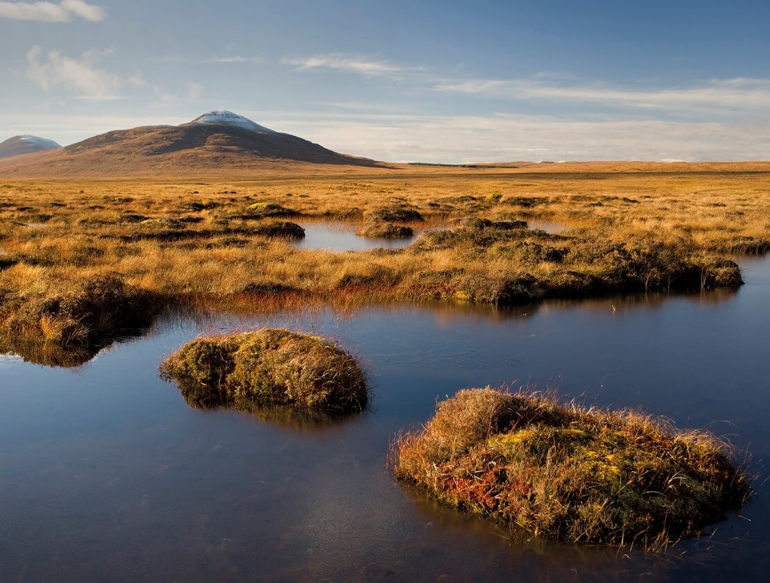 The problem with peat - Whisky Magazine