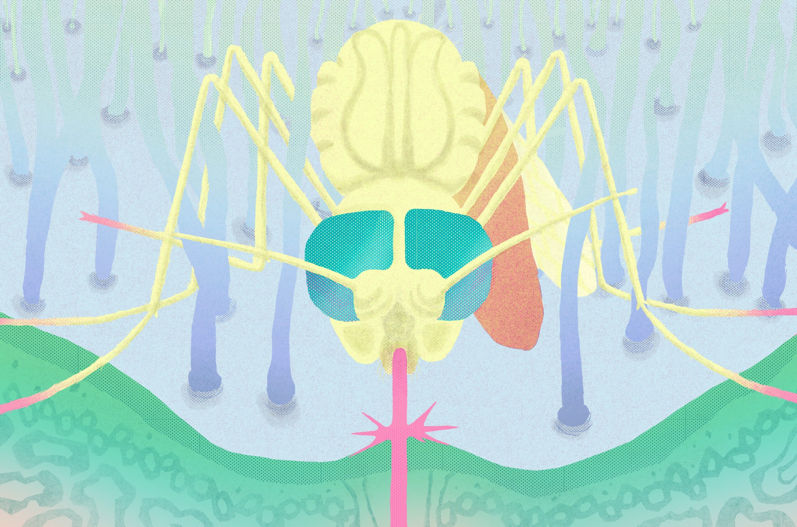 Why we didn't get a malaria vaccine sooner - Works in Progress