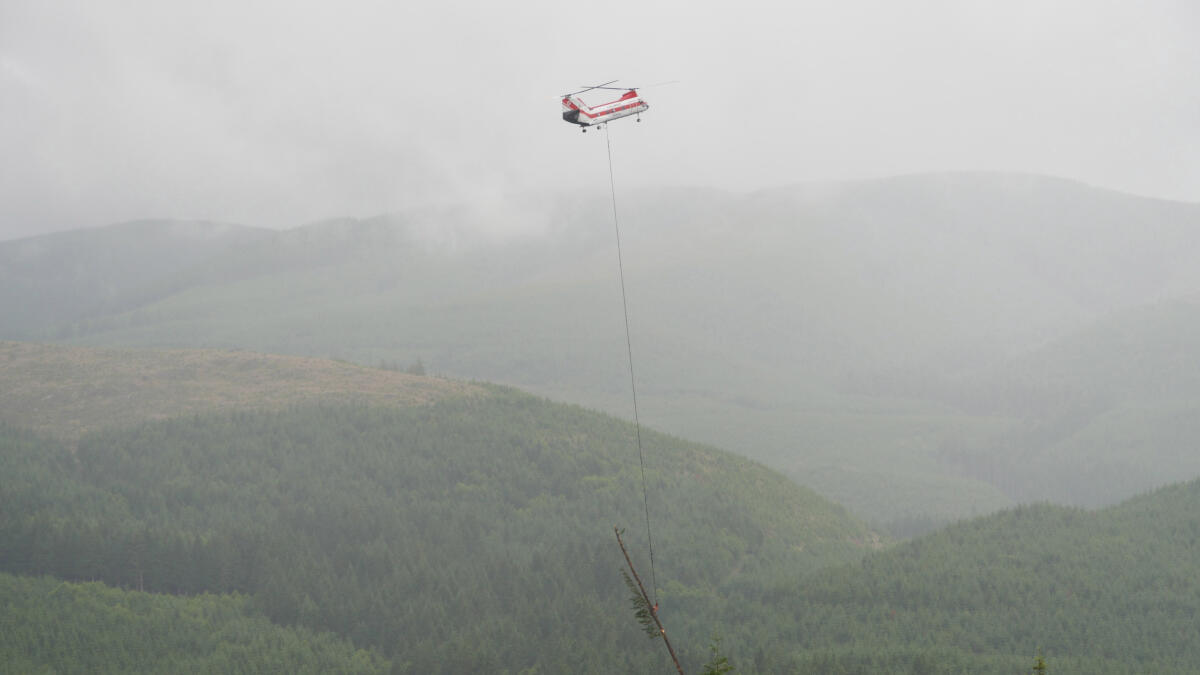 Salmon habitat restoration: Group uses helicopters to carry logs to South Fork Toutle River