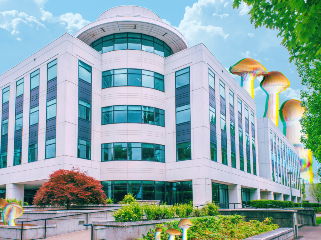 What's Next for Legal Psilocybin in Oregon - Lucid News