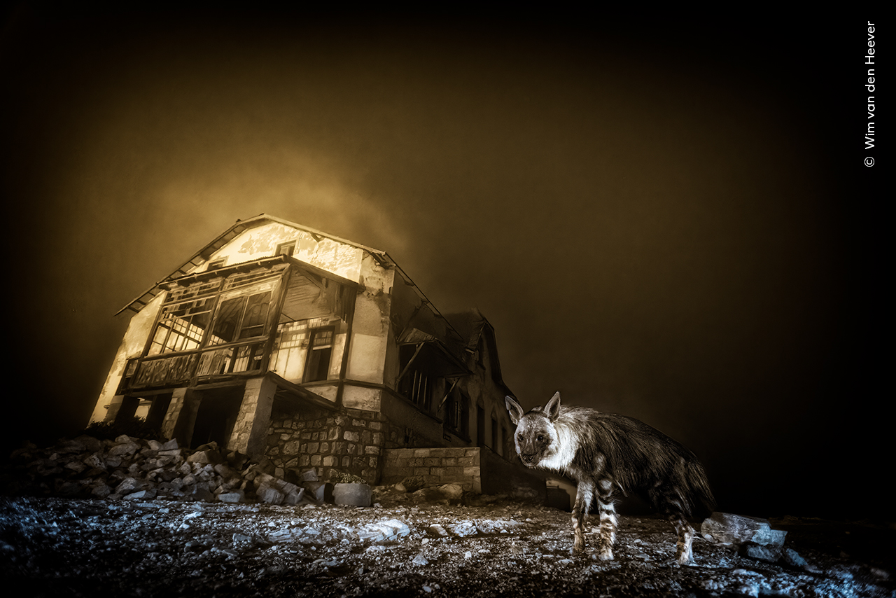 Gallery | Wildlife Photographer of the Year | Natural History Museum