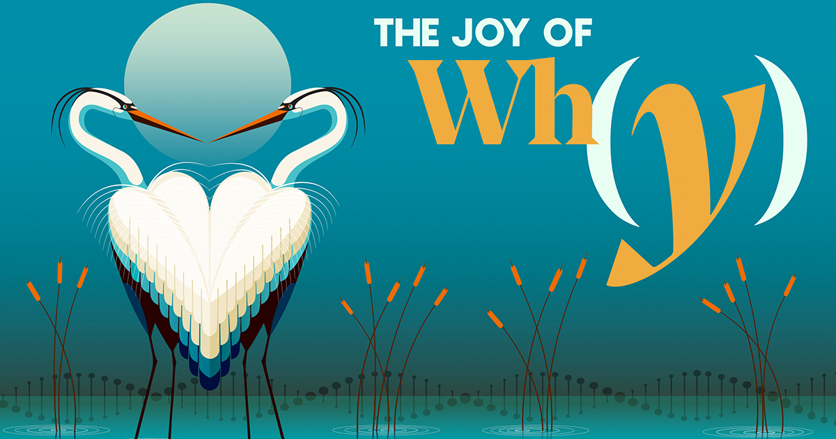 Do Beautiful Birds Have an Evolutionary Advantage? | Quanta Magazine