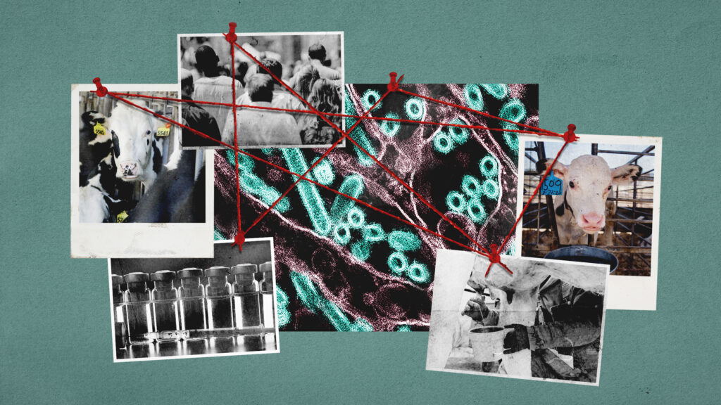 These are the bird flu questions that influenza and animal scientists desperately want answered