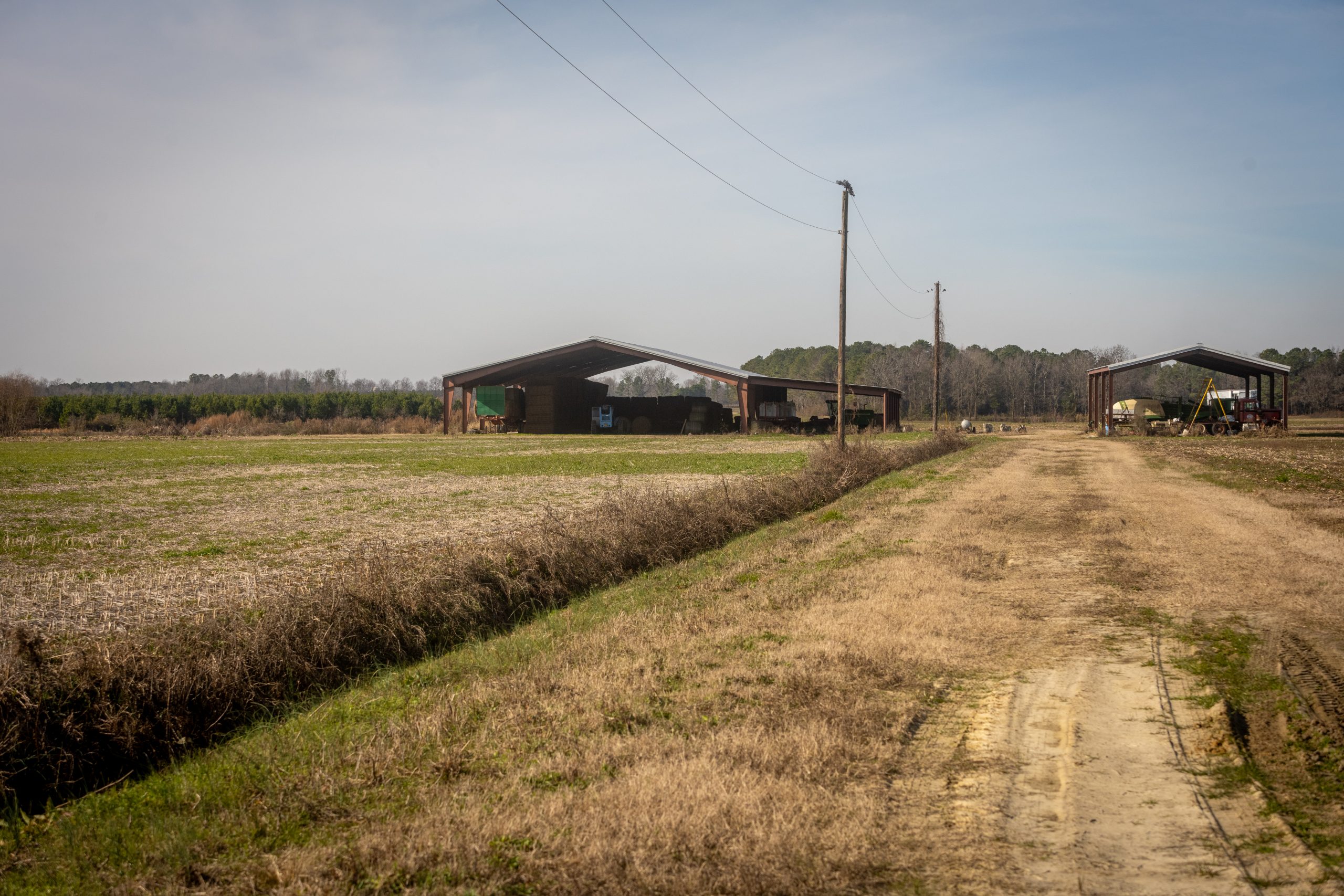 Tobacco’s Second Wind